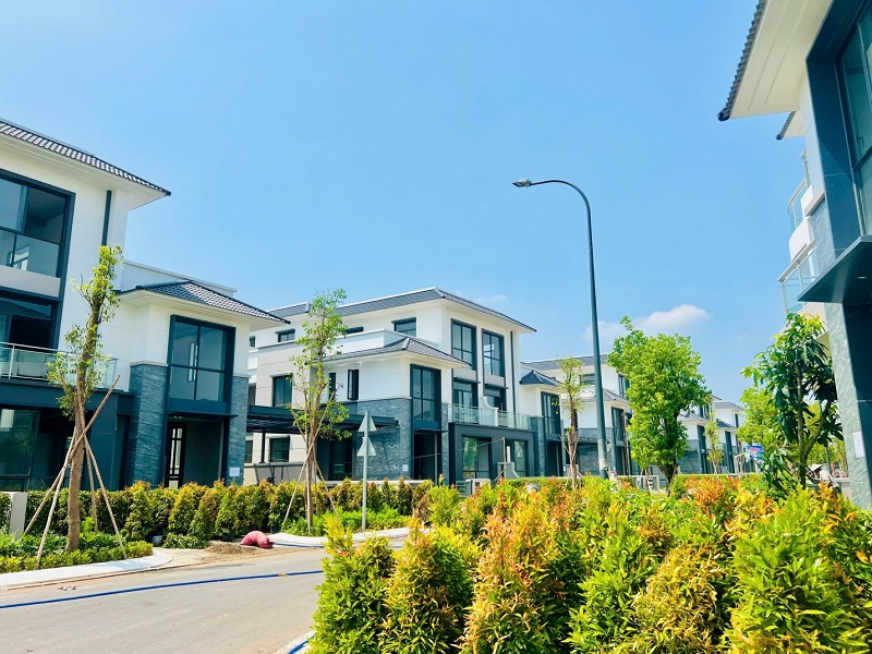 Tin tức website